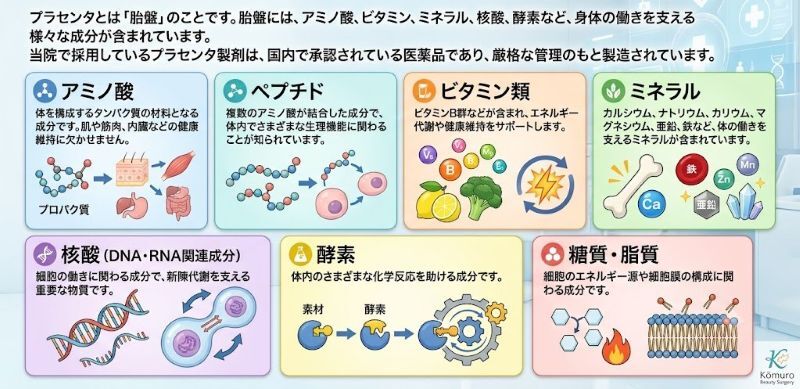 プラセンタに含まれる成分