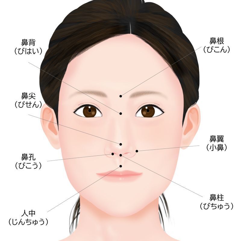鼻のパーツ