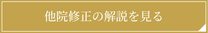 他院修正の解説を見る