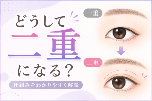 二重の仕組み