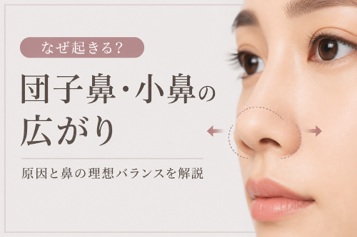 団子鼻・小鼻の広がりはなぜ起きる
