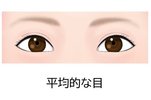 平均的な目