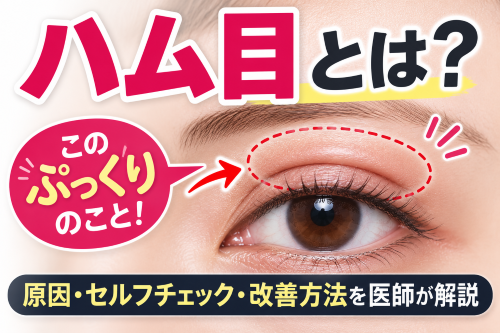 ハム目とは？