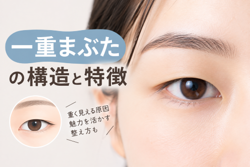 一重まぶたの構造と特徴とは