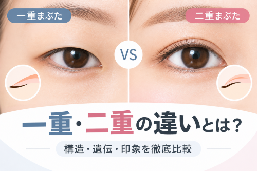 一重まぶたと二重まぶたの違い